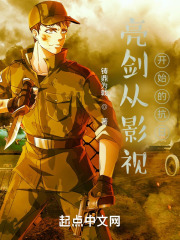 亮剑之南方战场