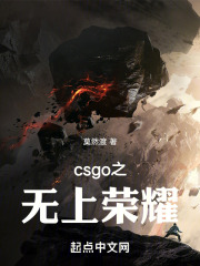 csgo之无上荣耀