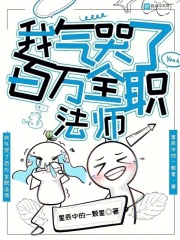 我气哭了百万全职法师
