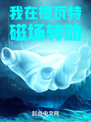 我在提瓦特磁场转动