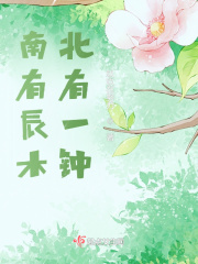 南有辰木，北有一钟