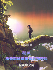 精灵，从奇树的御用摄影师开始