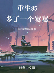 重生85，多了一个舅舅