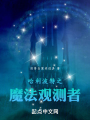 哈利波特之魔法观测者