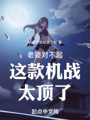 老婆对不起这款机战太顶了