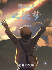 神奇宝贝之逐梦