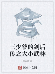 三少爷的剑后传之大小武林