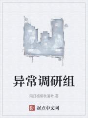 异常调研组