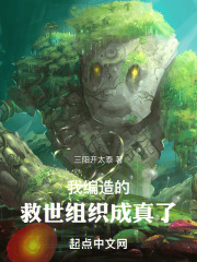 我编造的救世组织成真了