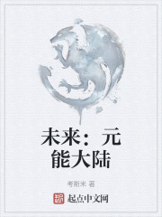 未来：元能大陆