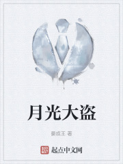 月光大盗