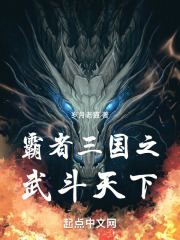 霸者三国之武斗天下