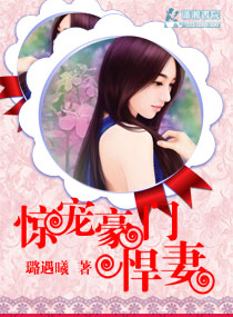 小说主人叶轩夏秋