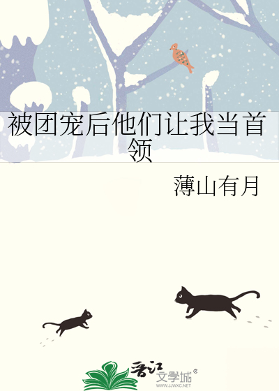 被团宠后他们让我当首领