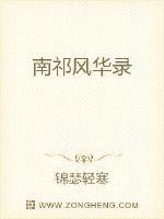 南祁风华录
