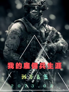 我的雇佣兵生涯