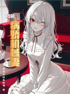 我的病娇机械妻